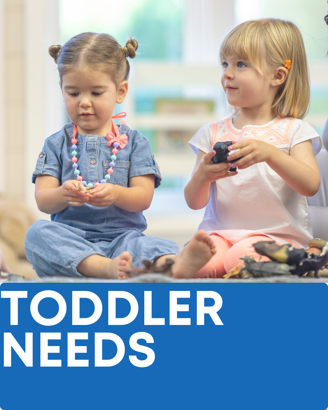 TODDLER NEEDS / TOYS